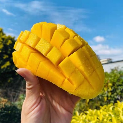 海南金煌芒果水仙芒大青芒新鲜应季水果整箱包邮甜心芒带箱10装图3