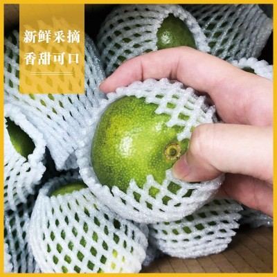 湖北宜昌现摘新鲜桔子青皮黄皮无籽蜜桔酸甜可口孕妇水果超甜橘子图3