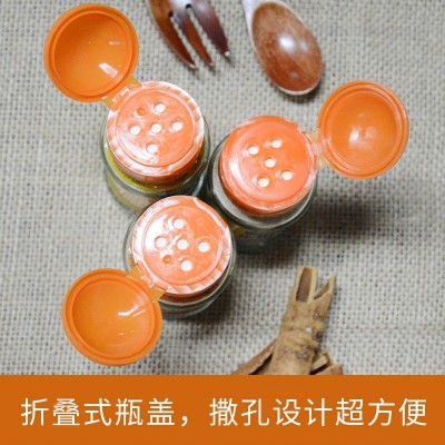 佳霖味椒皇40g24瓶装 椒盐粉炒菜烧烤料排骨等厨房调料鸡翅烤肉料图4