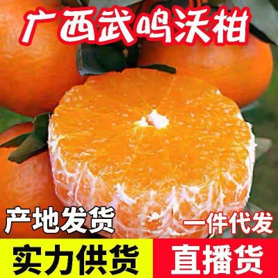 广西武鸣沃柑柑橘柑桔橘子桔子新鲜当季水果现摘现发