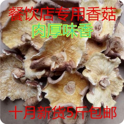 产地直销剪香菇脚大片干货剪腿干香菇肉厚味五斤包邮批发