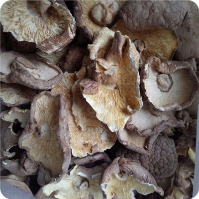 产地直销剪香菇脚大片干货剪腿干香菇肉厚味五斤包邮批发图2