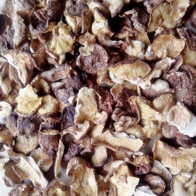 产地销售 农家剪脚香菇小碎片破菇干货 包子饺子馅料500g5斤包邮图3