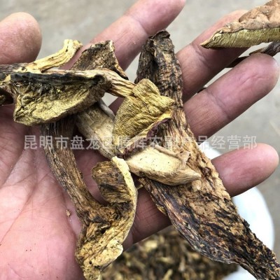 云南特产野生菌干货 黄牛肝菌2020年3月份新货海菌底菌汤火锅图2