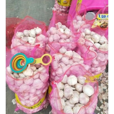 丰德利新鲜有机大蒜 颗粒饱满 水分充足 可大量采购图5