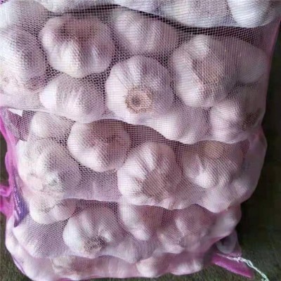 丰德利新鲜有机大蒜 颗粒饱满 水分充足 可大量采购