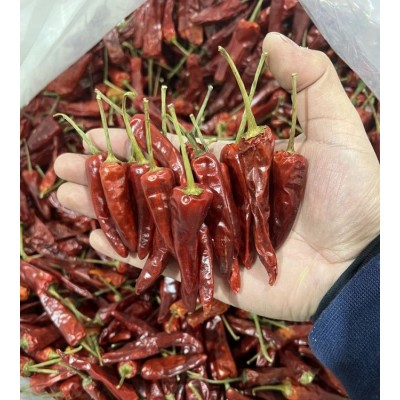 正宗福建辣椒王 香辣耐煮特辣干辣椒 卤味专用图4