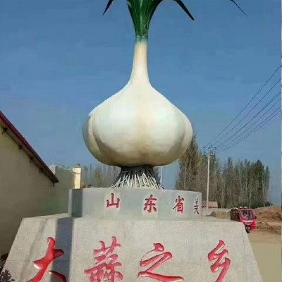 味之源大蒜之乡特产加工 新鲜紫皮蒜头 汁鲜味浓图3