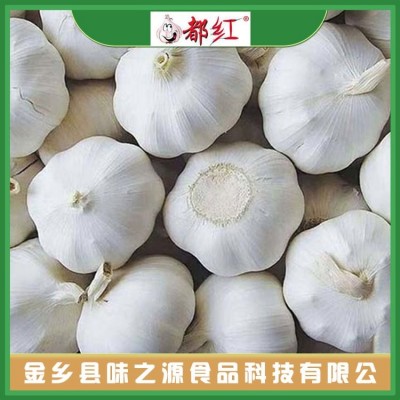 味之源大蒜之乡特产加工 新鲜紫皮蒜头 汁鲜味浓