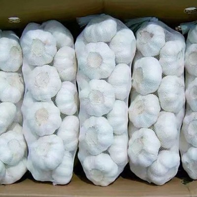 味之源大蒜之乡特产加工 新鲜紫皮蒜头 汁鲜味浓图5