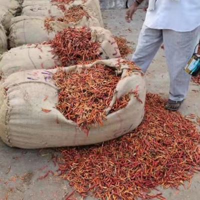 特产花皮辣椒 中餐火锅底料专用金 乡味之源食品图2