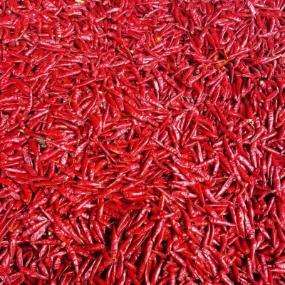 特产花皮辣椒 中餐火锅底料专用金 乡味之源食品图4