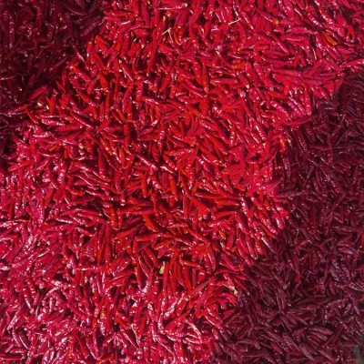 特产花皮辣椒 中餐火锅底料专用金 乡味之源食品图5