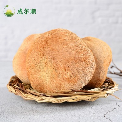 古田猴头菇 新货猴头菇干货批发 猴菇饼干原料产地供应500g