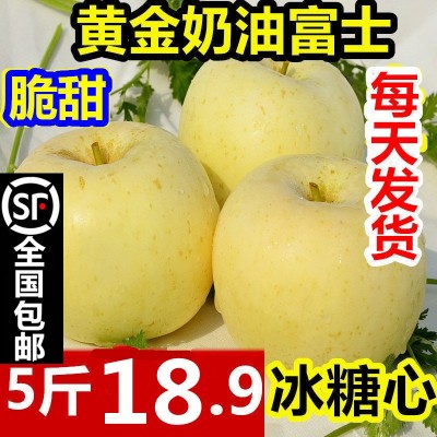 烟台奶油富士苹果新鲜水果10斤代批发糖心山东黄金奶油苹果礼盒装图3