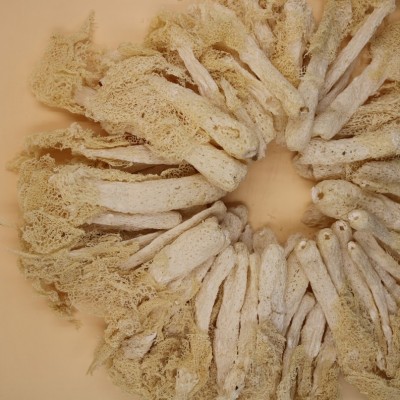 厂家直供湘蕈竹荪干货批发无硫磺竹笙非野生食用菌整箱1.5KG图2