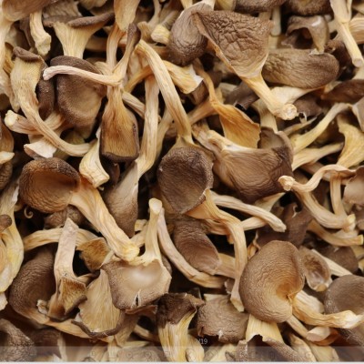 厂家直供湘蕈鲍鱼菇干货凤尾M湖南出口批发食用菌5kg整箱散货装图3