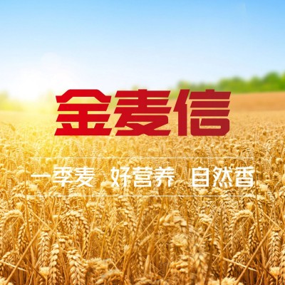 批发金麦信熟化黑全麦粉1kg小麦粉馒头面包粉家用小麦粉全麦面粉图3
