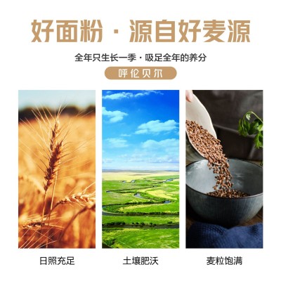 批发金麦信熟化黑全麦粉1kg小麦粉馒头面包粉家用小麦粉全麦面粉图4