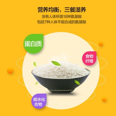 响水 【新品上市】黑龙江响水大米 火山岩石板大米 响水大米袋装