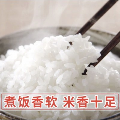 正宗东北大米黑龙江查哈阳当季新磨大米 秋田小町10斤装厂家批发图4