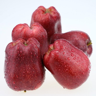 甘肃天水花牛苹果新鲜应当季水果宝宝辅食蛇果香甜粉整箱10斤包邮
