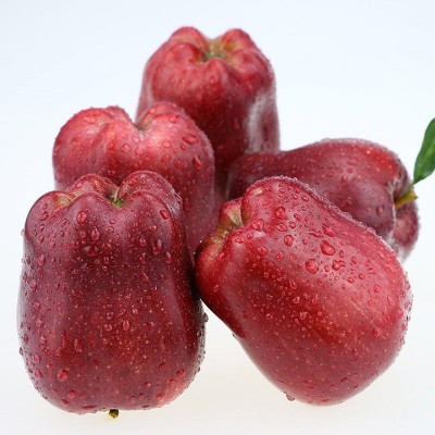 甘肃天水花牛苹果新鲜应当季水果宝宝辅食蛇果香甜粉整箱10斤包邮图5