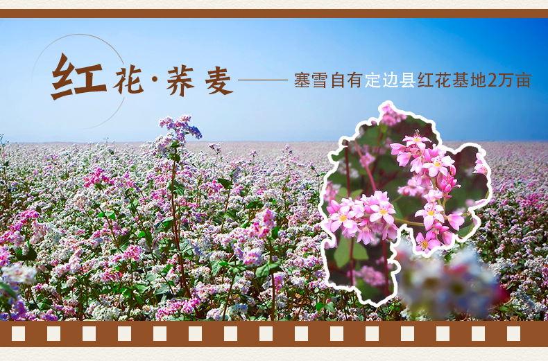 公告区0727_05