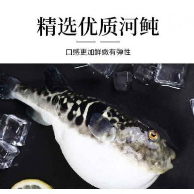 河鲀鱼丸纯鱼丸河豚鱼实心鱼圆火锅食材丸子烧烤冷冻食材半成品图4