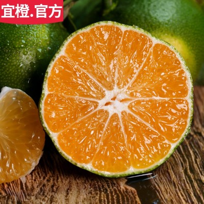 无籽桔子 3斤5斤9斤 皮薄酸甜多汁湖北蜜桔橘子 当季现摘新鲜水果图1
