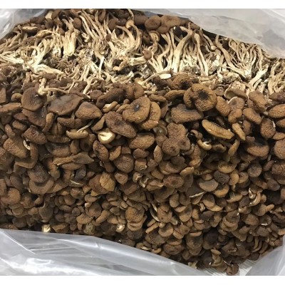 整箱批发茶树菇 干货 不开伞 菌菇 酒店 饭店食材图5