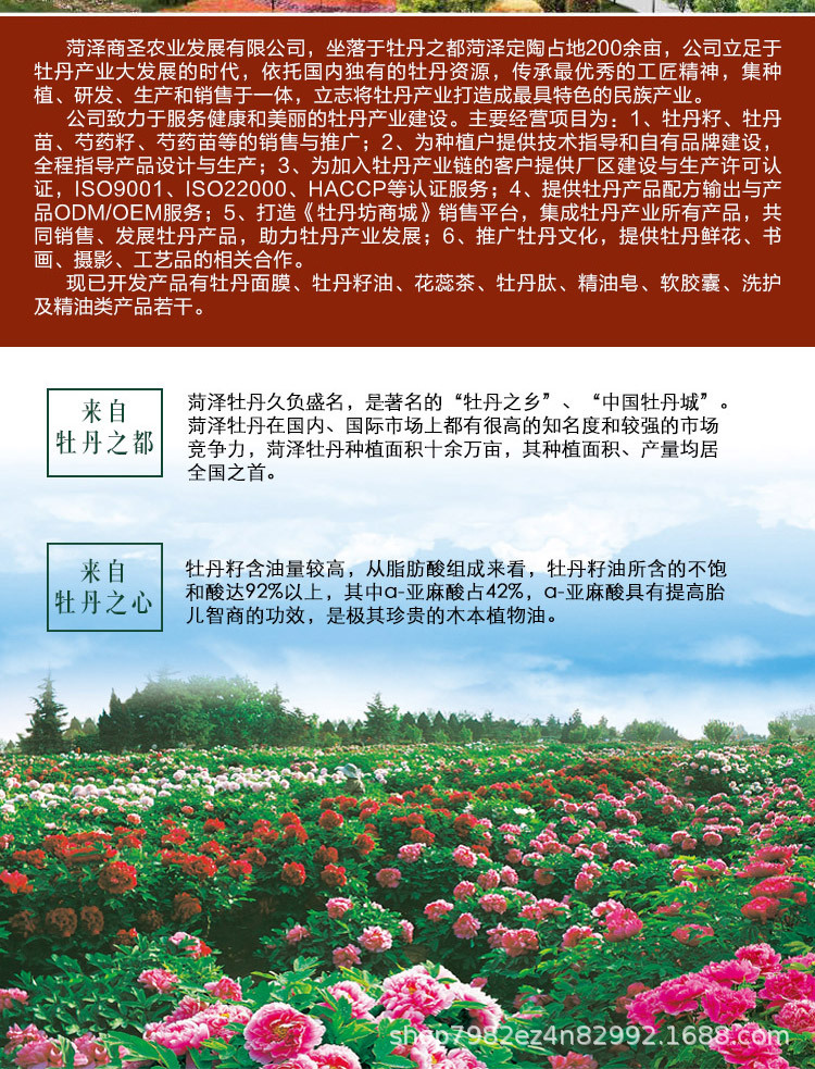 牡丹籽油250ml红色_08.jpg