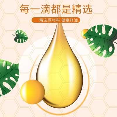 高油酸压榨花生油白衣花生油1L植物油低温冷榨一级花生油一件代发图2