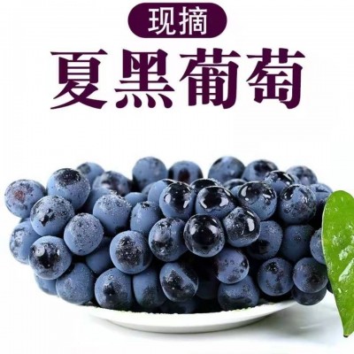 整5斤箱包邮夏黑葡萄无籽葡萄提子新鲜水果新鲜应季水果图3