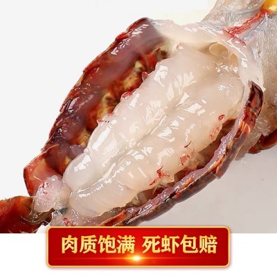 6789钱洪湖小龙虾鲜活水产湖北潜江产地货源大红大青清水龙虾批发图4