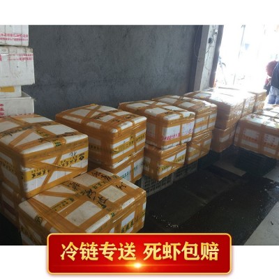 湖北小龙虾 鲜活两虾炮头9钱以上大虾水产批发洪湖淡水活体小龙虾图4