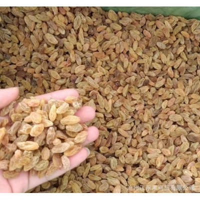 吐鲁番葡萄干 树上黄葡萄干 散装10KG 电商 超市专供食品加工企业