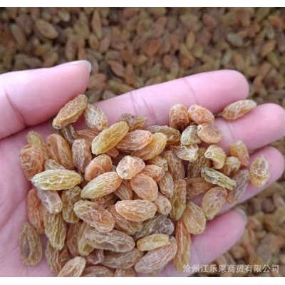 吐鲁番葡萄干 树上黄葡萄干 散装10KG 电商 超市专供食品加工企业图4