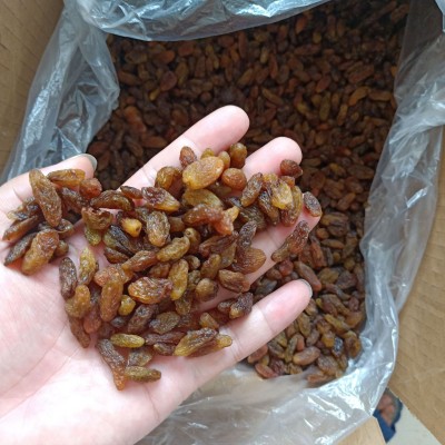 吐鲁番红提 大颗粒葡萄干 清洗葡萄干 每日坚果 烘焙企业专供图4