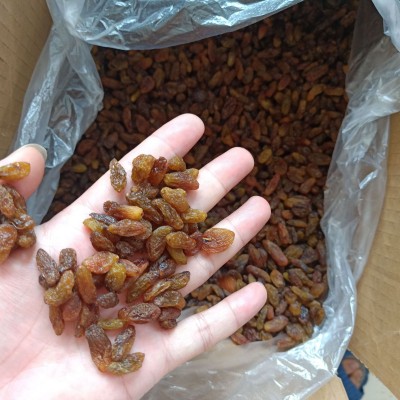 吐鲁番红提 大颗粒葡萄干 清洗葡萄干 每日坚果 烘焙企业专供图3