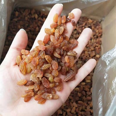 红葡萄干免洗红提小颗粒葡萄干小珍珠提子食品烘焙原料批发