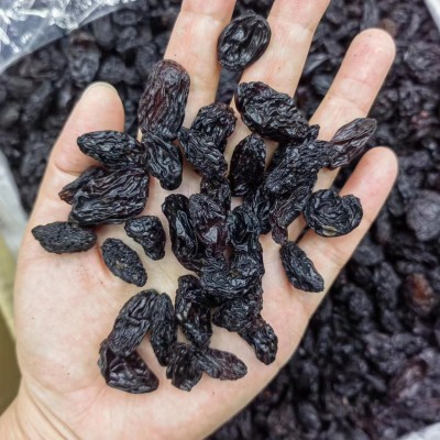 新疆吐鲁番黑加仑葡萄干黑玫瑰提子干免洗即食零食干果批发图2
