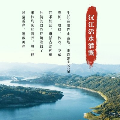 陕西汉中香丝大米5kg包装新米源头厂家颗粒饱满10斤装直销图3