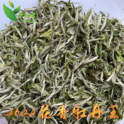 福鼎白茶白牡丹散茶2022年明前花香一级新茶茶叶管阳高山茶礼盒装