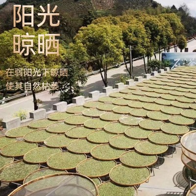 珍壶春正宗福建花香嫩芽清新香味白茶罐装白茶白牡丹明前头采100g图3