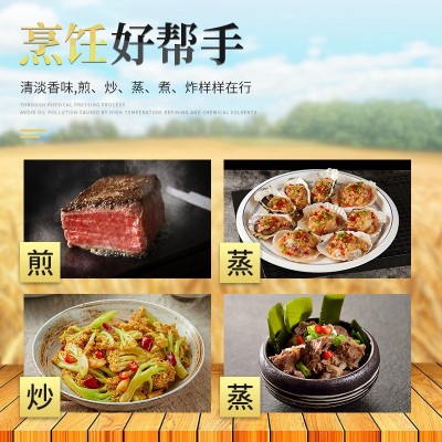 900ml金桥花生油压榨花生浓香油食用油 调和油色拉油粮油一件代发图3