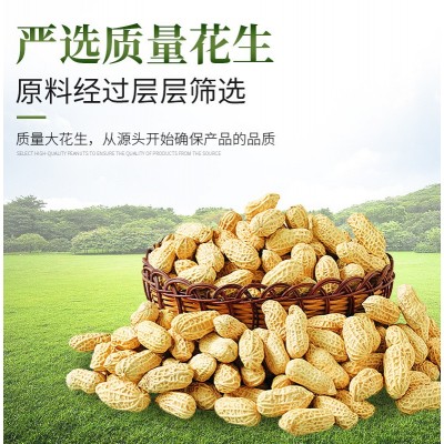 900ml金桥花生油压榨花生浓香油食用油 调和油色拉油粮油一件代发图2