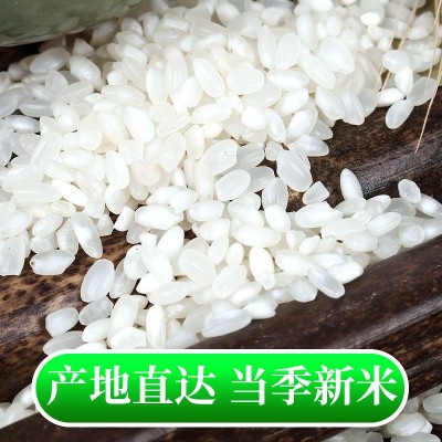厂家批发媛妈家东北白米5斤东北大米包邮当季新米图3