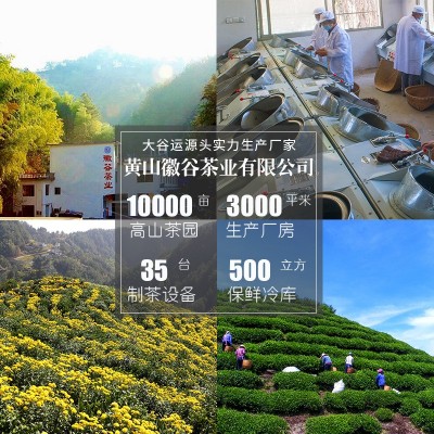 徽谷安徽黄山毛峰批发款高山绿茶浓香茶叶毛尖250克散装毛峰图4