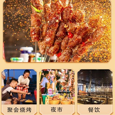 辣椒粉 印度辣椒面干辣椒烧烤袋装批发餐饮香辛调味料散装辣椒粉图4